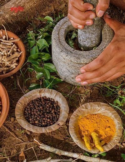 Ayurvedic Medicine, Wellness & Educational Experience Project