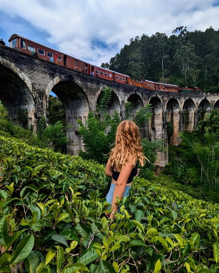 Ella & Nine Arch Bridge