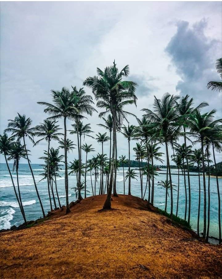 Mirissa Beach